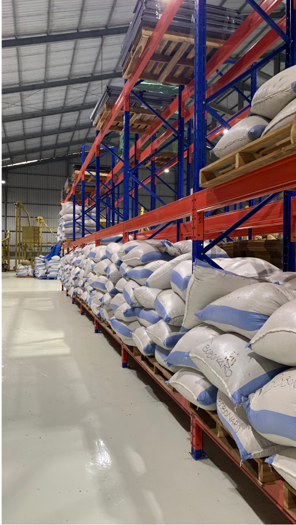 Coffee sacks stacked in the KTON warehouse
