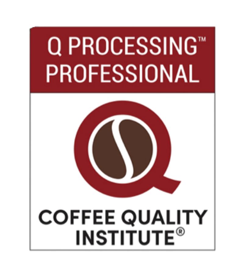 Q Processing Professional badge from the Coffee Quality Institute